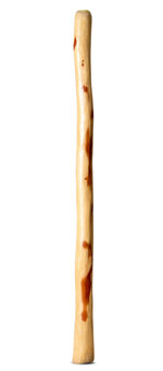 Medium Size Natural Finish Didgeridoo (TW1458)